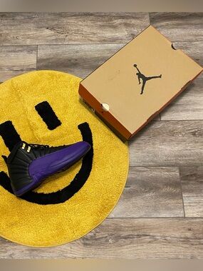 Jordan Air Jordan 12 Retro Field Purple Black High Top Men’s 2023 CT8013-057